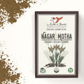 Janas - Nagar Motha