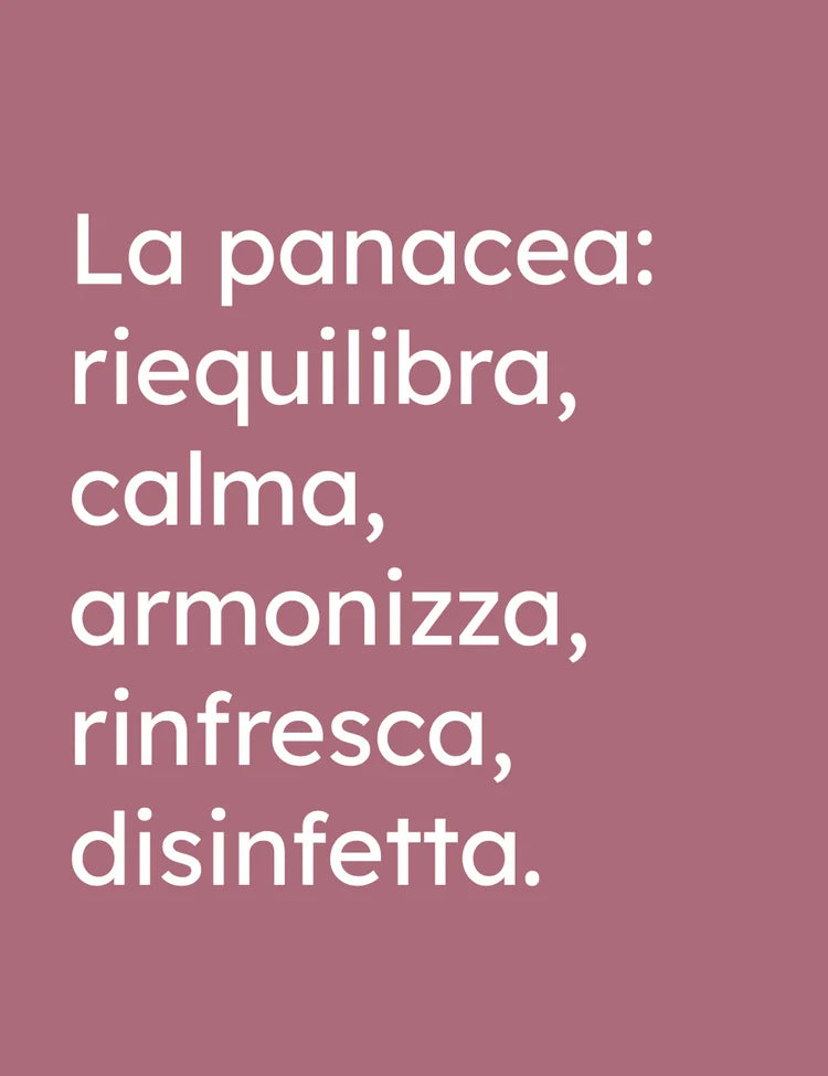 Olfattiva - Lavanda