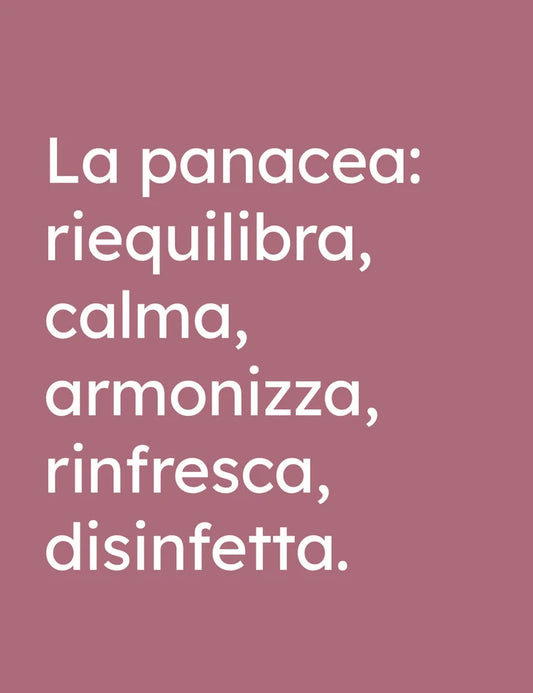 Olfattiva - Lavanda