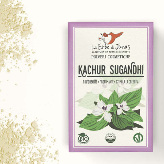 Janas - Kachur Sugandhi