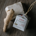 Ethical Grace - Shampoo Solido Gengevo